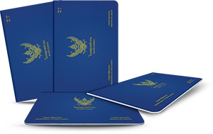 Thai Work Permit Application